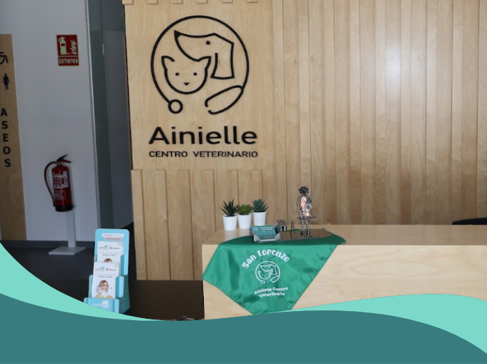 recibidor ainielle