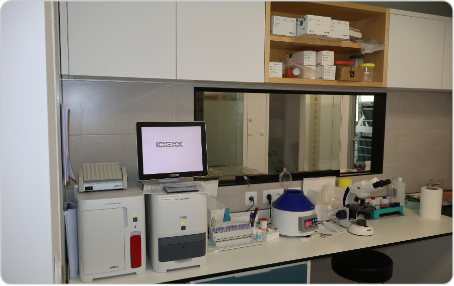 sala diagnostico