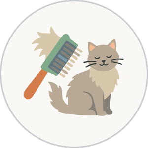 icono cepillo y gato
