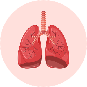 icono pulmones