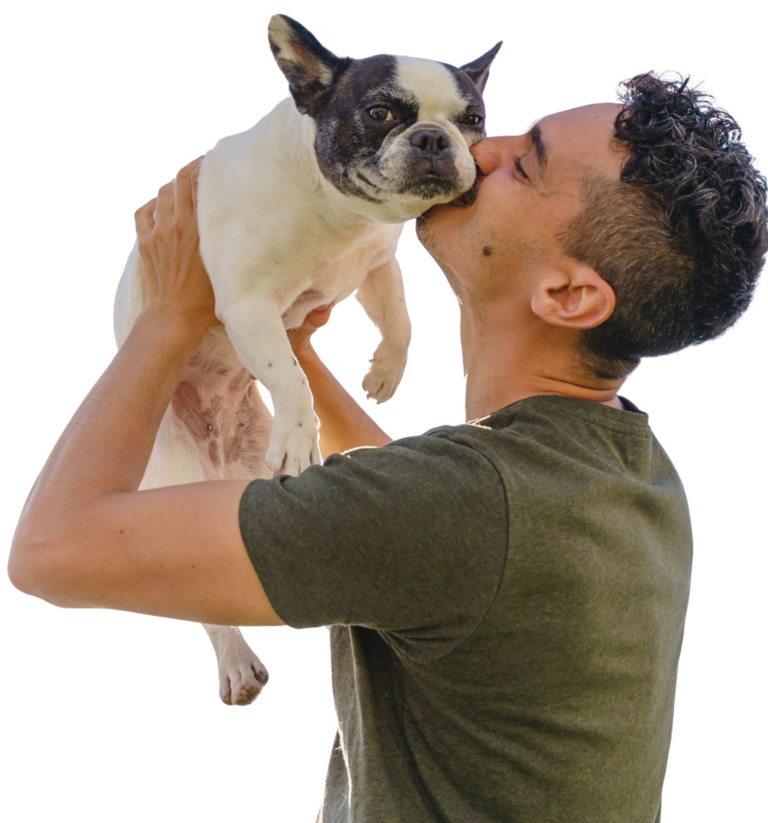 perro siendo besado por un humano