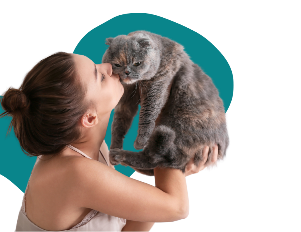 gato siendo besado por un humano